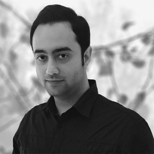 Dr. Ali Kiaie Junior